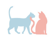 Marly & Dan Système Urinaire – friandises chat saumon 40 g