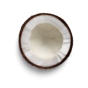 Friandises lyophilisées Mobilité Saumon pour Chat 40 g