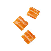 Friandises lyophilisées Mobilité Saumon pour Chat 40 g