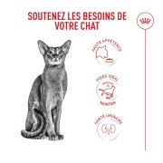 ROYAL CANIN Fussy – croquettes chat adulte à l’appétit difficile