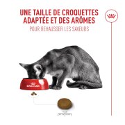 ROYAL CANIN Fussy – croquettes chat adulte à l’appétit difficile