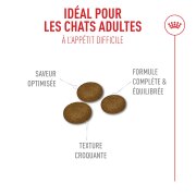 ROYAL CANIN Fussy – croquettes chat adulte à l’appétit difficile