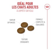 ROYAL CANIN Fussy – croquettes chat adulte à l’appétit difficile