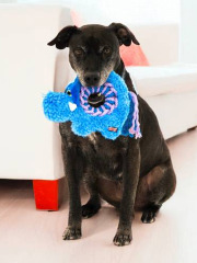 KONG Peluche Ringaroos Elephant pour chien avec corde 28 cm