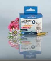 Francodex Ampoules Anti-Stress Chat 18 x 1 ml – Apaisant
