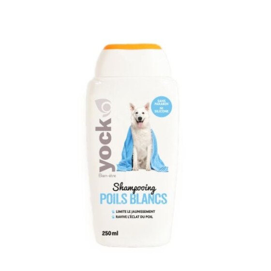 Yock Shampooing Poils Blancs Chien 250 ml – Anti-jaunissement