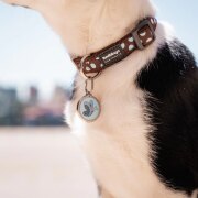 Médaille Red Dingo Motif Papillon bleu clair