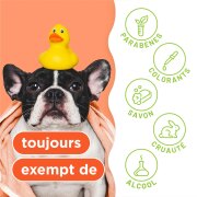 TropiClean shampoing et après-shampoing 2 en 1 papaye