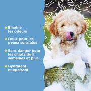 TropiClean shampoing chiot et chaton hypoallergénique
