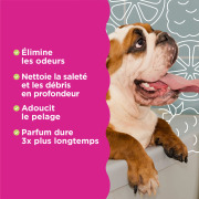 Tropiclean spray désodorisant framboise citron 236 ml