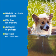 Tropiclean Shampoing fortifiant anti-chute de poils chien 355 ml