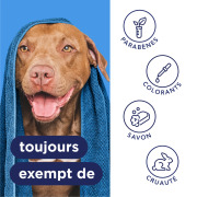 Tropiclean shampoing anti-démangeaisons Oxymed pour chien 355 ml