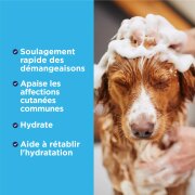 Après-shampoing anti-démangeaisons Oxymed TropiClean pour chien