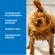 Spray anti-démangeaisons Oxymed TropiClean pour chien