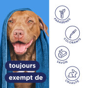 Spray anti-démangeaisons Oxymed TropiClean pour chien