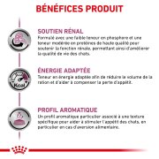 ROYAL CANIN Renal Mousse pour chat