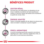ROYAL CANIN Renal Mousse pour chat