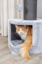 Arbre à chat Trixie XXL Ava II