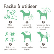 Beaphar spray sans rinçage chien mouillé pour chien
