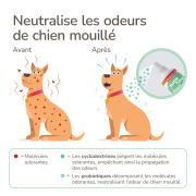 Beaphar spray sans rinçage chien mouillé pour chien