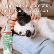 Beaphar spray sans rinçage chien mouillé pour chien