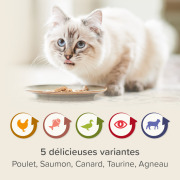 Beaphar multipack pâtées rénales pour chat