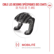 ROYAL CANIN Ageing 11+ bouchées en gelée pour chat senior