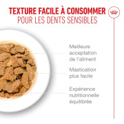 ROYAL CANIN Ageing 11+ bouchées en gelée pour chat senior