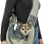 Sac ventral Sling pour chien