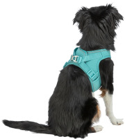 Harnais Premium UrbanVest aqua