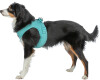 Harnais Premium UrbanVest aqua