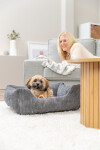 Lit orthopédique Vital Jonna gris foncé chien