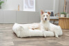 Lit orthopédique Vital Jonna crème pour chien