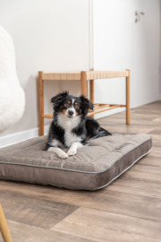 Coussin Liano taupe pour chien