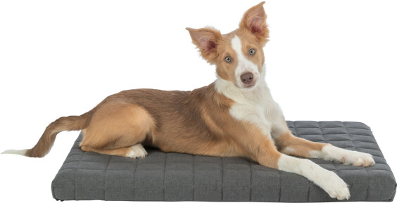 Matelas orthopédique Vital Caliente gris foncé pour chien