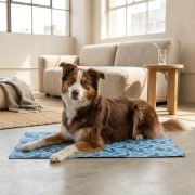 Matelas rafraîchissant bleu clair pour chien Trixie