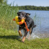 Jouet aquatique Aqua Toy Canard sur corde pour chien Trixie