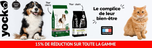 Tout Yock à -15%