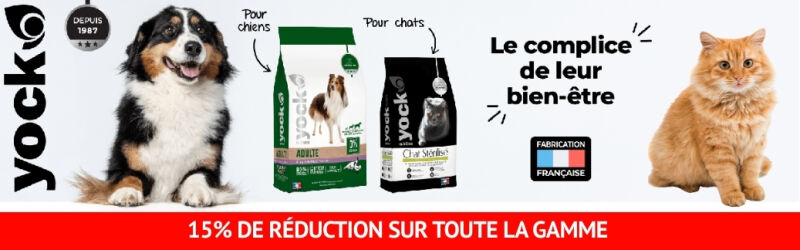 Tout Yock à -15%