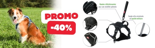 Innovation 2025 : Harnais avec laisse enrouleur intégrée