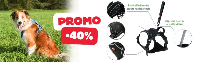 Innovation 2025 : Harnais avec laisse enrouleur intégrée