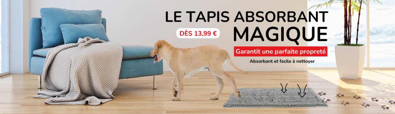 Promotion en cours animalerie en ligne Auberdog