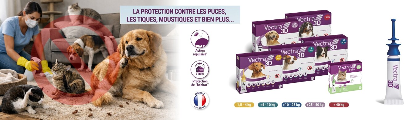 Promotion en cours animalerie en ligne Auberdog