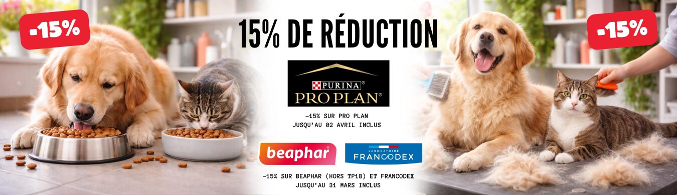 Promotion en cours animalerie en ligne Auberdog