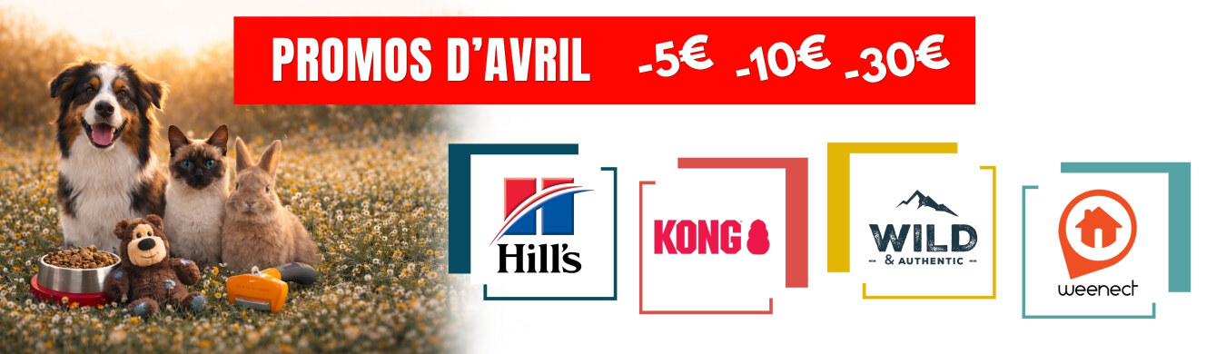 Promotion en cours animalerie en ligne Auberdog