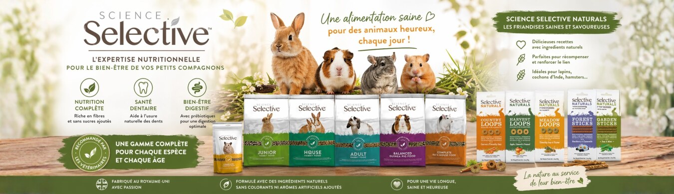 Promotion en cours animalerie en ligne Auberdog