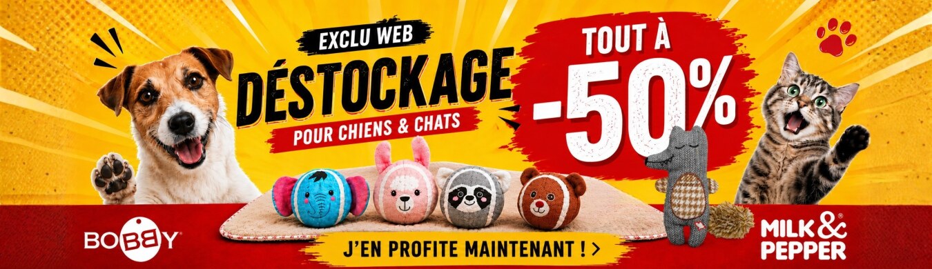 Promotion en cours animalerie en ligne Auberdog