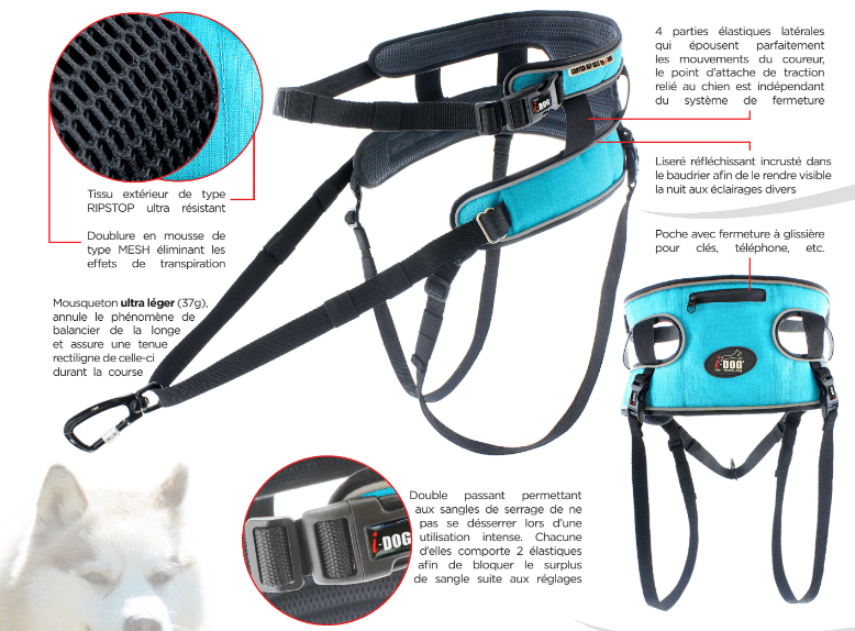 Mode d'emploi Ceinture baudrier pour canicross