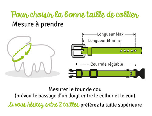 Guide des tailles HALTI Collier de dressage Taille 2