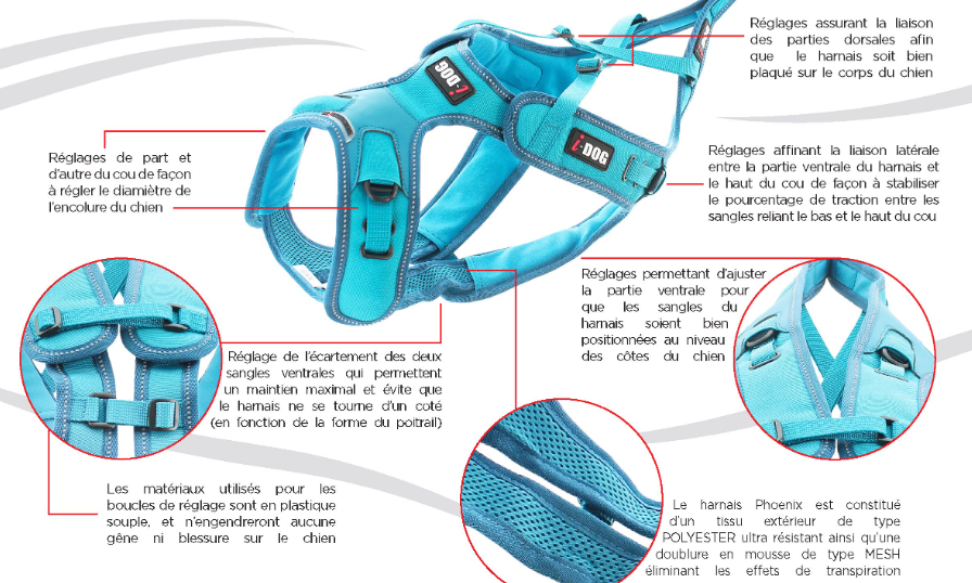Mode d'emploi Harnais traction chien canicross PRO x-back phoenix
